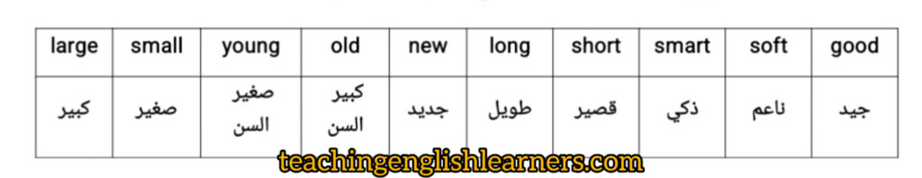 أقسام الكلام في اللغة الإنجليزية 