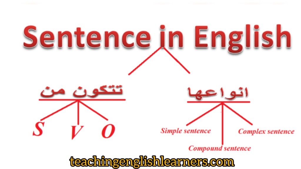 كيف نكون الجملة في اللغة الإنجليزية