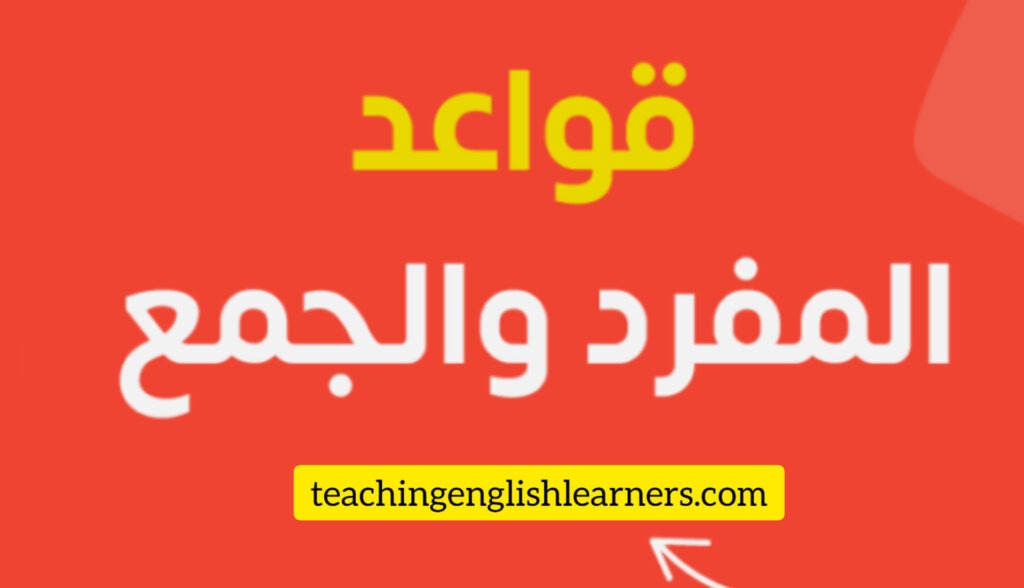 المفرد والجمع في اللغة الإنجليزية 