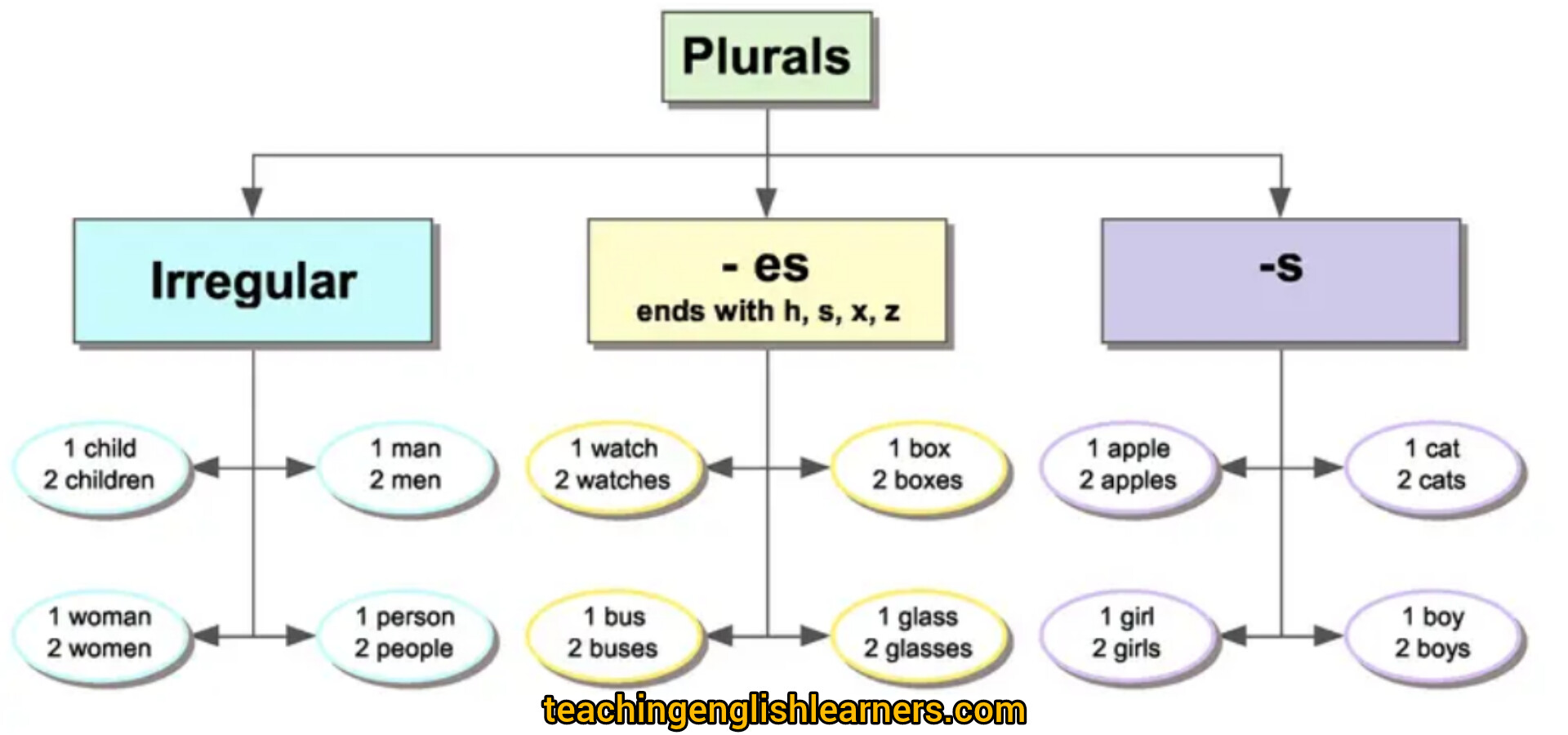 Singular and Plural nouns